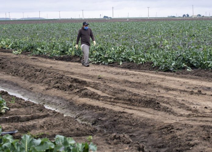 coronavius-farmworkers-food-supply